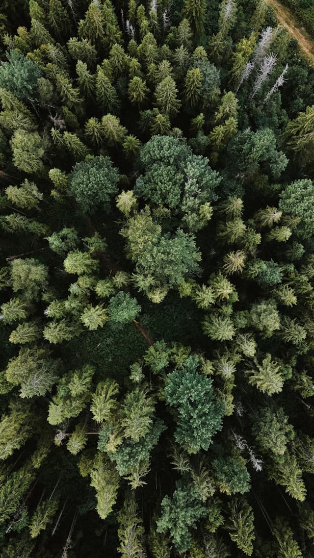 projects-background